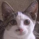 れお
